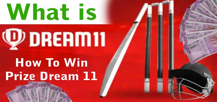 what is dream 11